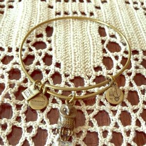 Alex and Ani owl bracelet
